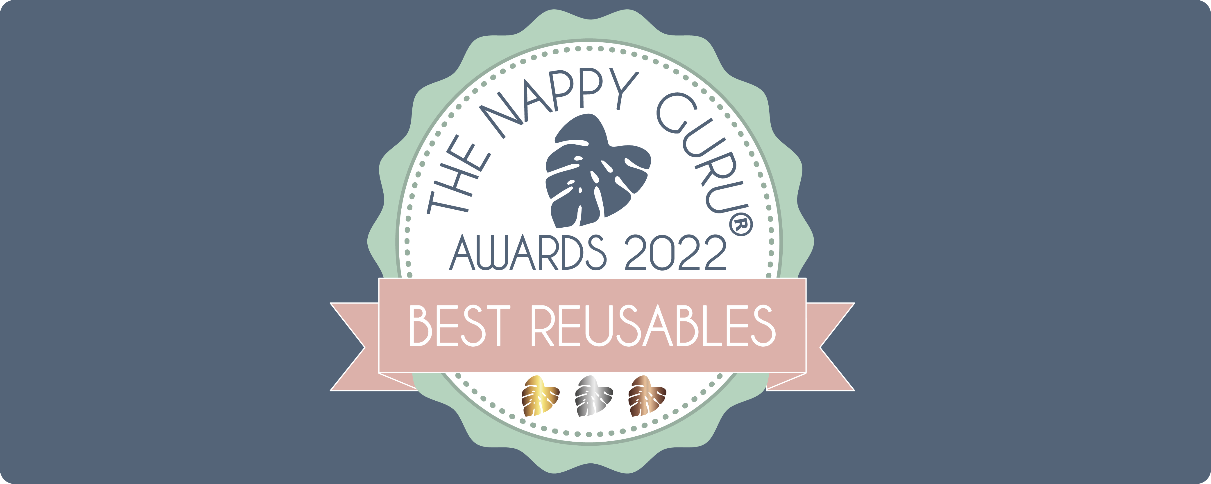 best reusable nappies